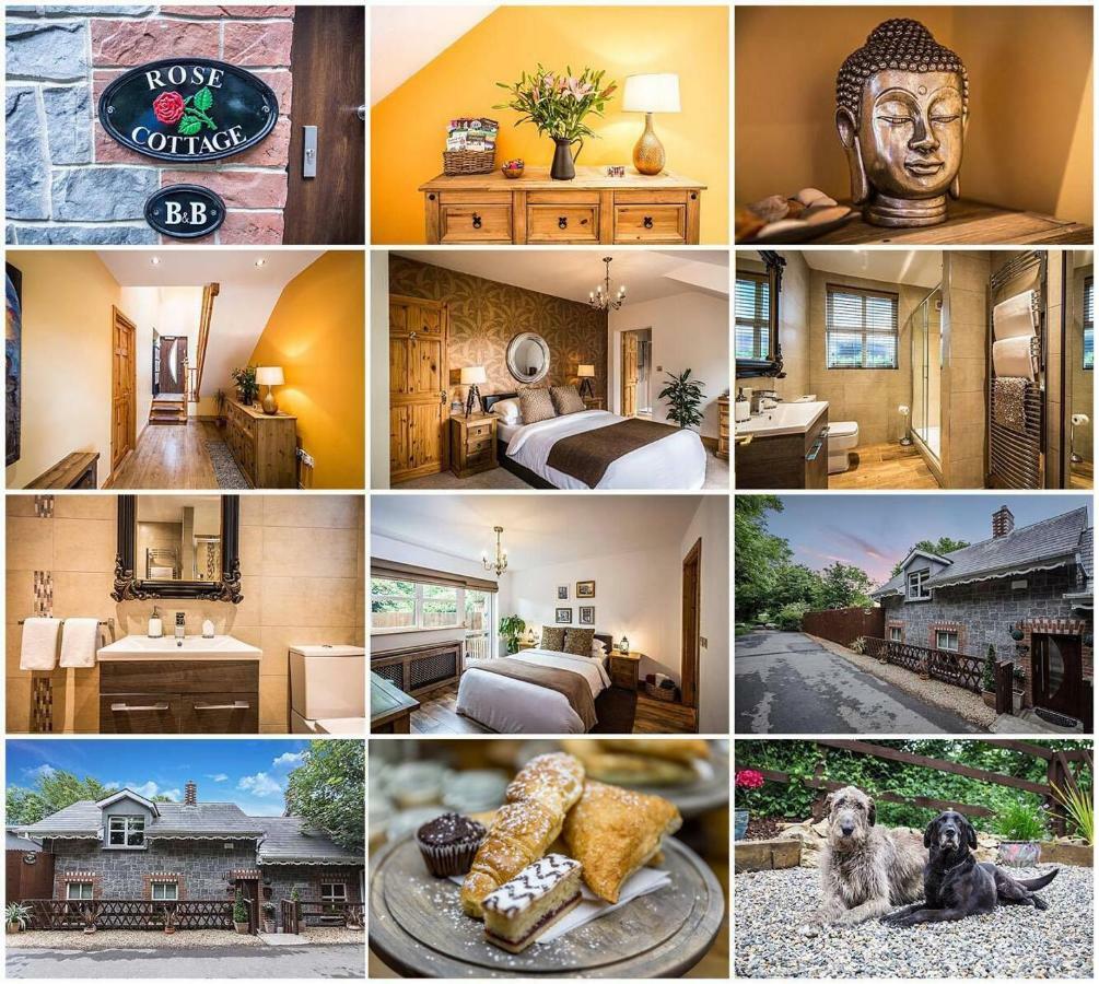 Rose Cottage B&B Swords Zewnętrze zdjęcie